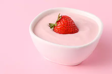 Frozen Yogurt Desserts Premix
