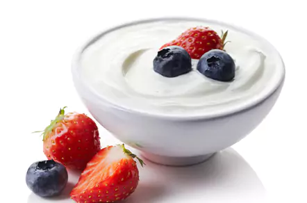 Yogurt Premix